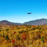 Blue Ridge Mountain Drones