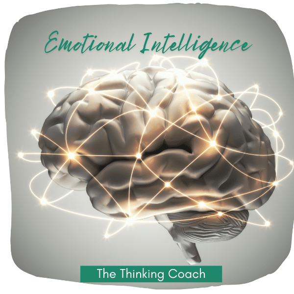 The Thinking Coach - Importance of Emotional Intelligence