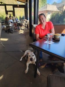 Dog Training Asheville