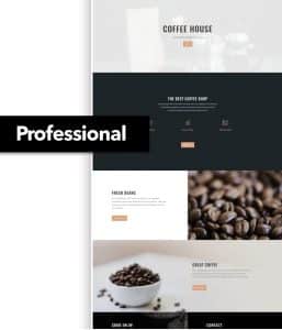 pt-professional