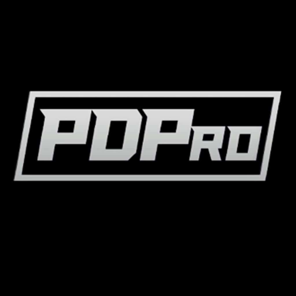 Piledriver Pro Wrestling (PDP)