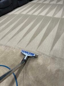 Best TriCities TN Carpet Cleaning